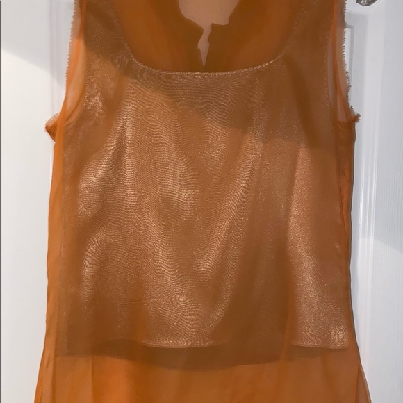 Elie Tahari sheer silk blouse with satin silk camisole - Picture 2 of 3